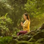 Vipassana Meditation A Path to Insight and Liberation