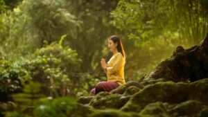 Vipassana Meditation A Path to Insight and Liberation
